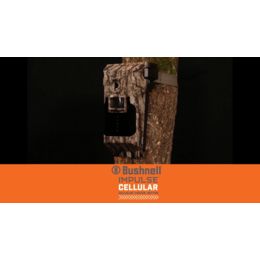 impulse trail camera